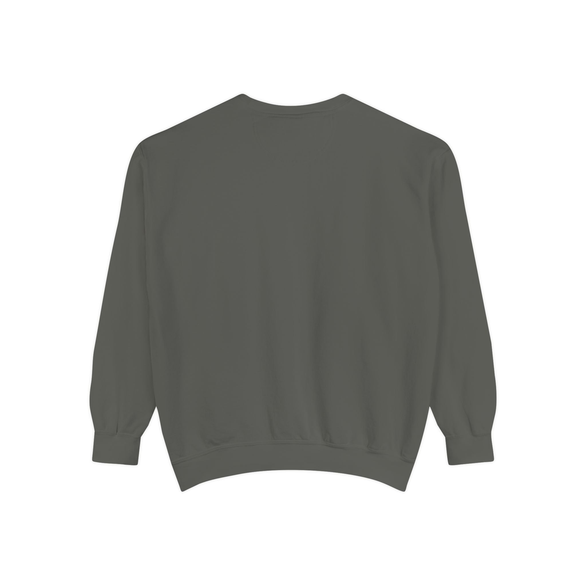 Interventional Radiology Sweatshirt — Vintage Collegiate Medical Crewneck