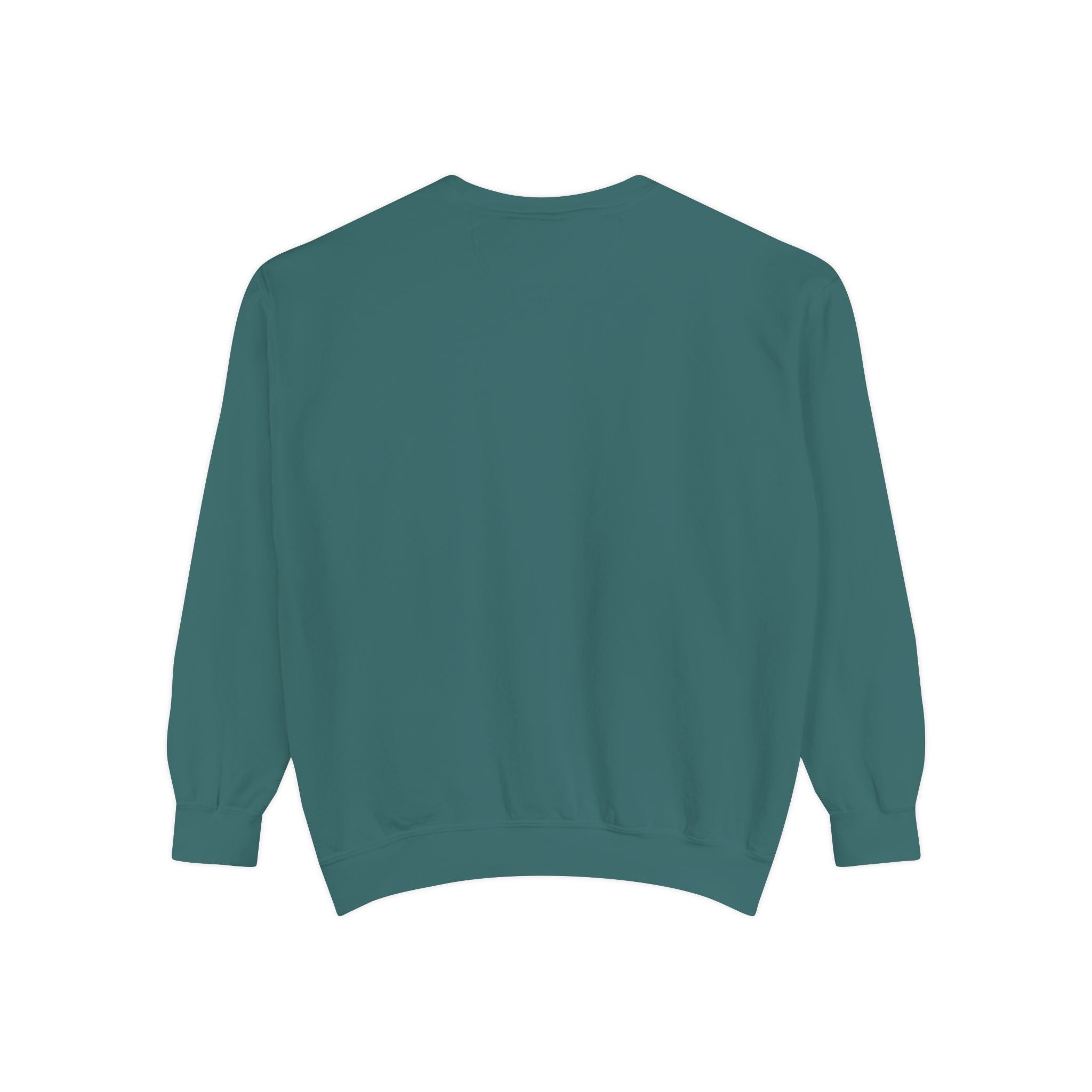 Interventional Radiology Sweatshirt — Vintage Collegiate Medical Crewneck