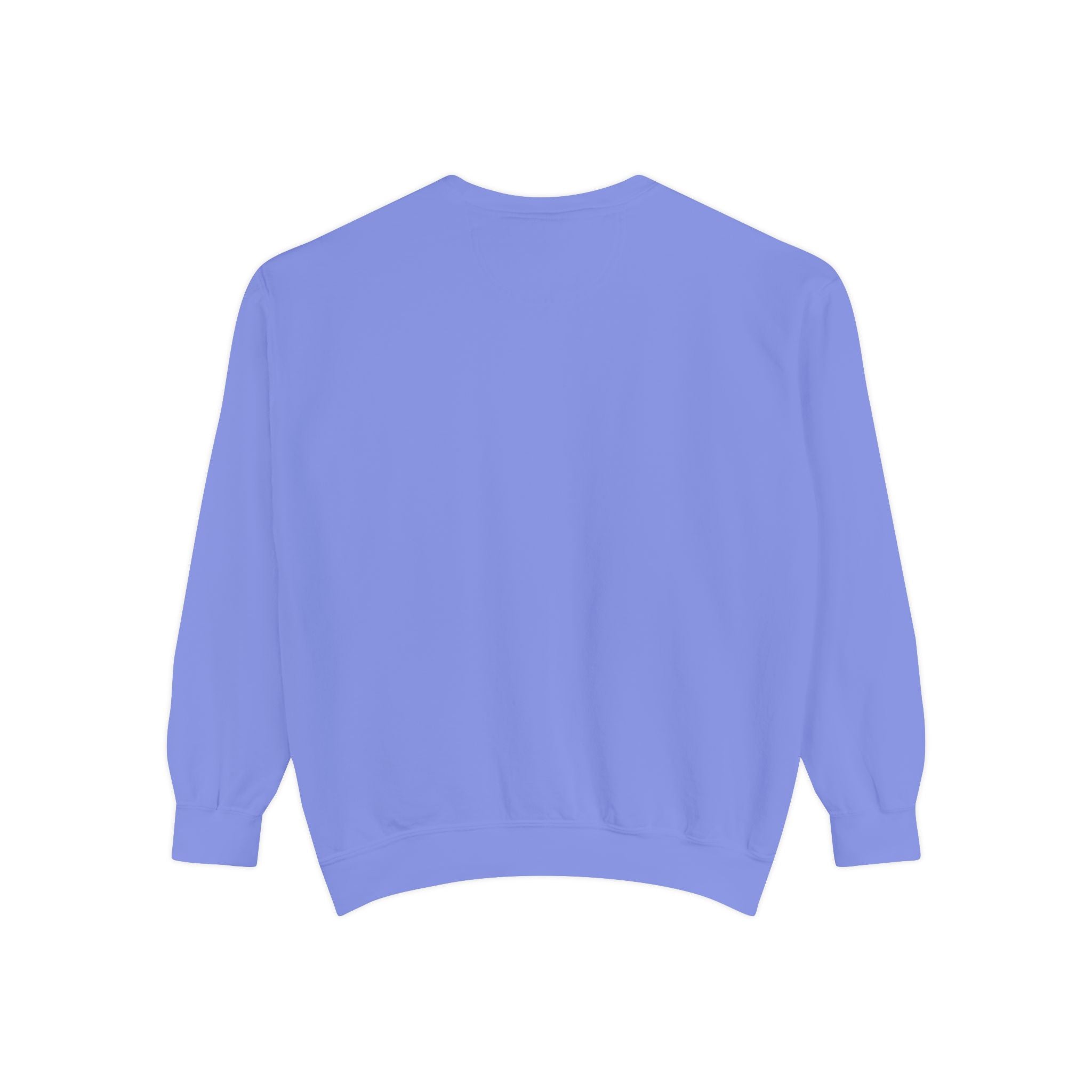 Interventional Radiology Sweatshirt — Vintage Collegiate Medical Crewneck