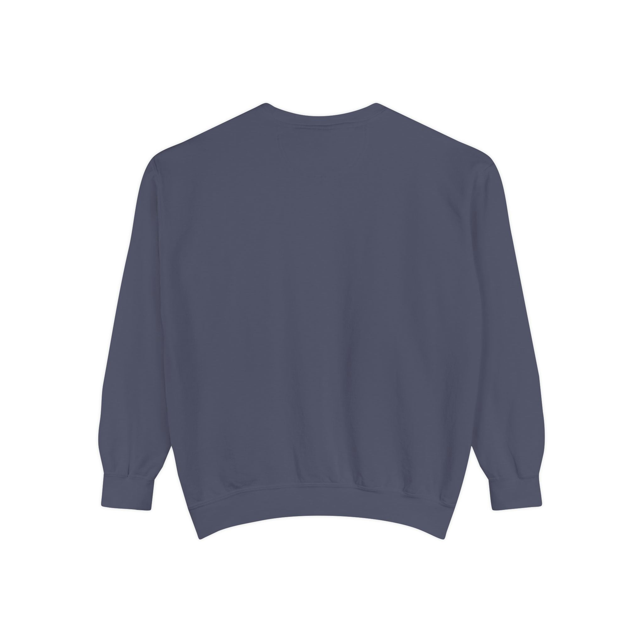 Interventional Radiology Sweatshirt — Vintage Collegiate Medical Crewneck
